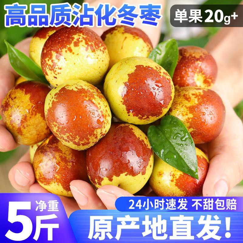 山东沾化新鲜冬枣子现摘当季大果脆甜青枣孕妇水果整箱特级 3斤 大果