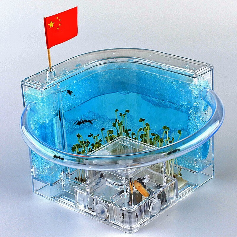 蚂蚁迷宫双层蚂蚁工坊可拼接蚂蚁城堡迷宫农场蚁巢生态箱六一儿童礼物