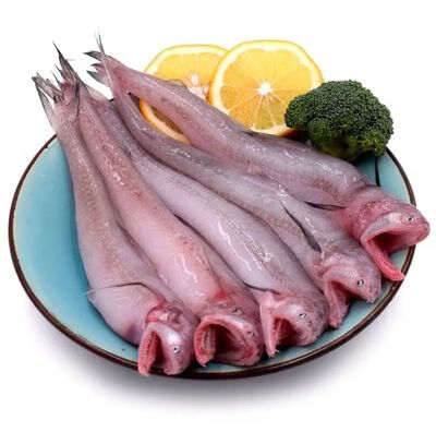 欢之婧 东海豆腐鱼海鲜 新鲜九肚鱼龙头鱼鲜活冷冻丝丁鱼水潺 净重6斤（8-12条/斤）