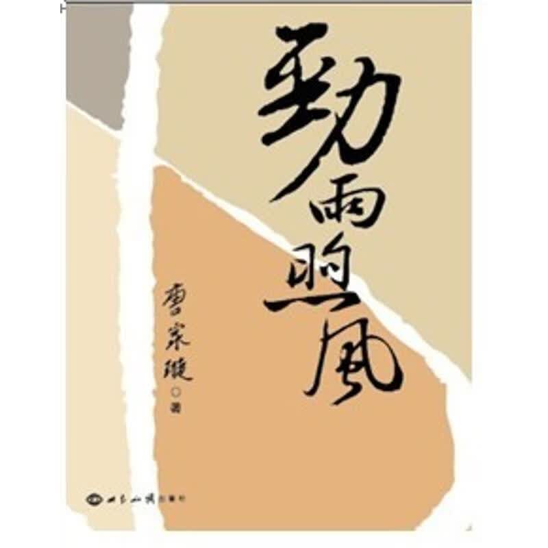 劲雨煦风 唐家璇著【正版书】