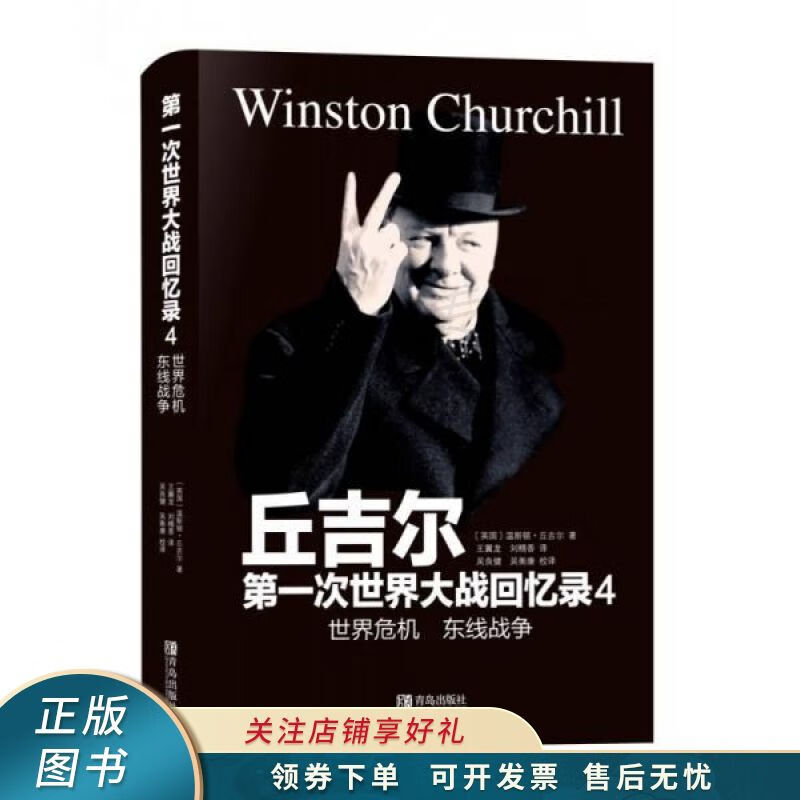 第一次世界大战回忆录4世界危机东线战争