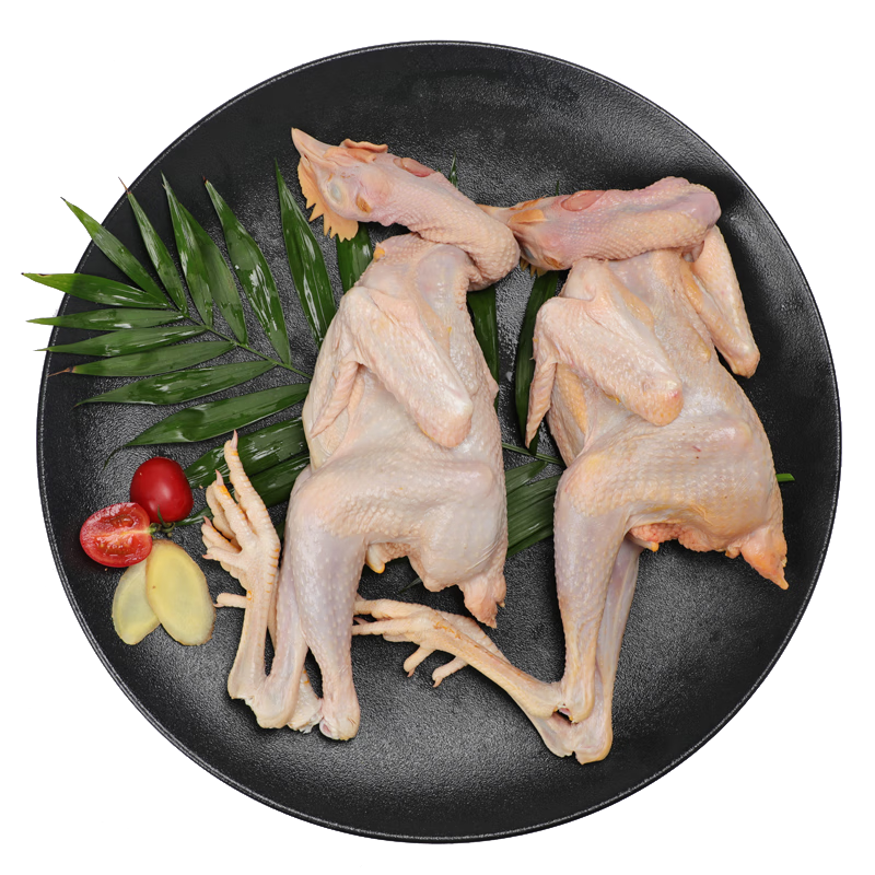 鸡肉价格行情最新报价走势图|鸡肉价格比较
