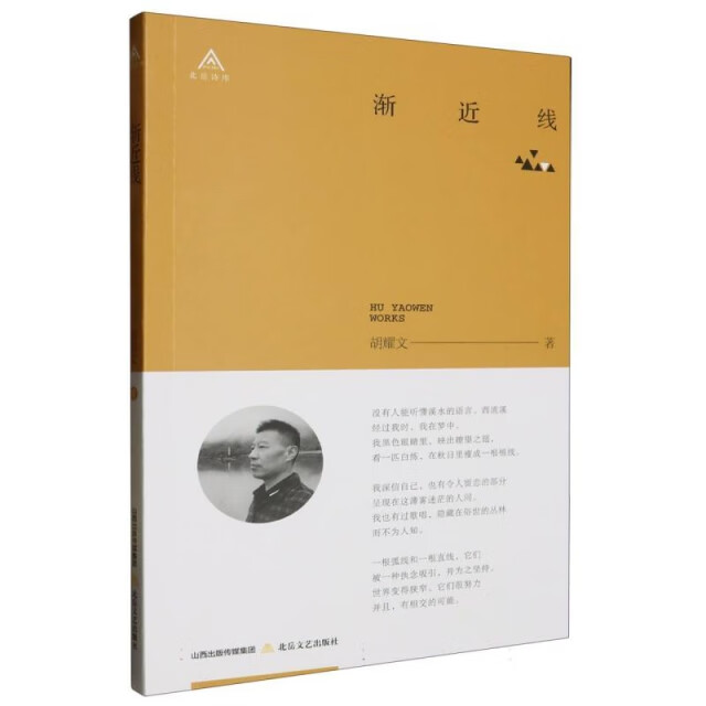 正版现货#渐近线9787537868174