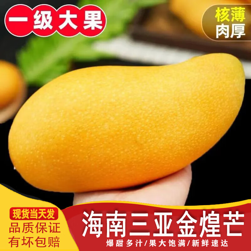 橙小士 海南三亚金煌芒果纸核芒水仙特大芒果生鲜水果现摘当季热带