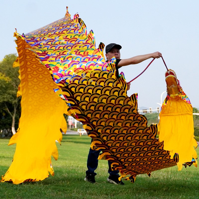 甩龙带龙头彩龙儿童舞龙彩带健身布龙道具耍龙中老年广场舞手龙舞