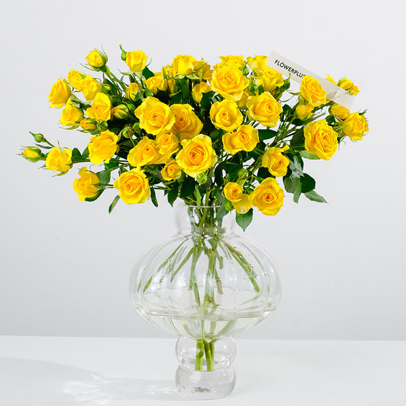 简值了云南基地直发梦幻芭比多头玫瑰10枝居家客厅装饰桌面生活鲜切花