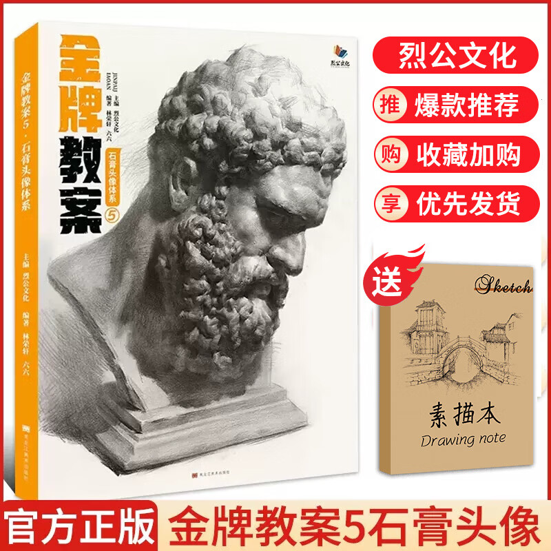 金牌教案5石膏头像体系 2023烈公文化
