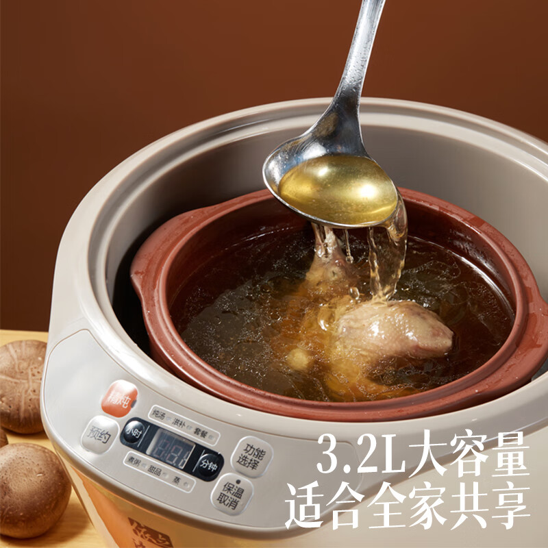 依立电炖锅 电炖盅  炖汤锅 4人用家用隔水炖炖盅电砂锅紫砂锅煮粥锅炖饭养生神器预约定时一锅4胆3.2L DZ32-1 3.2L