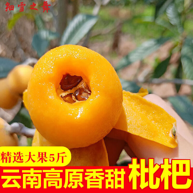 咔芙滋(kafuzi)正宗云南大五星枇杷5斤琵琶新鲜水果特产老树甜孕妇不