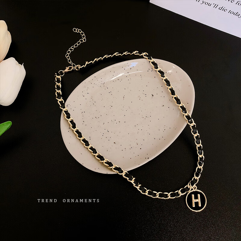 心古字母h圆牌吊坠项链女时尚个性脖颈链设计感小众锁骨链配饰潮 hm