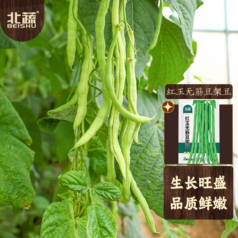 电商蔬菜类价格变化查询|蔬菜类价格比较