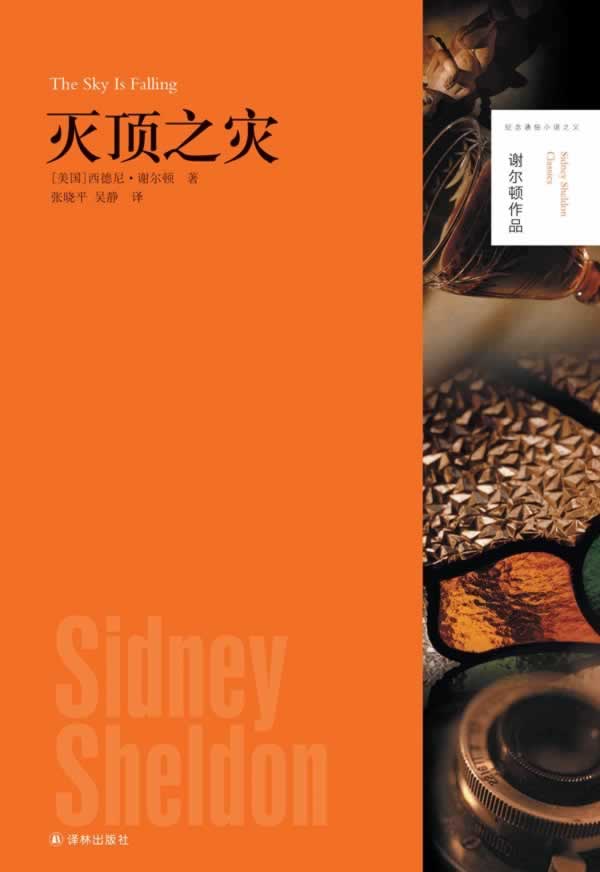谢尔顿作品：灭顶之灾（谢尔顿作品 纪念通俗小说之父） 小说 (美)西德尼·谢尔顿著 译林出版社 97