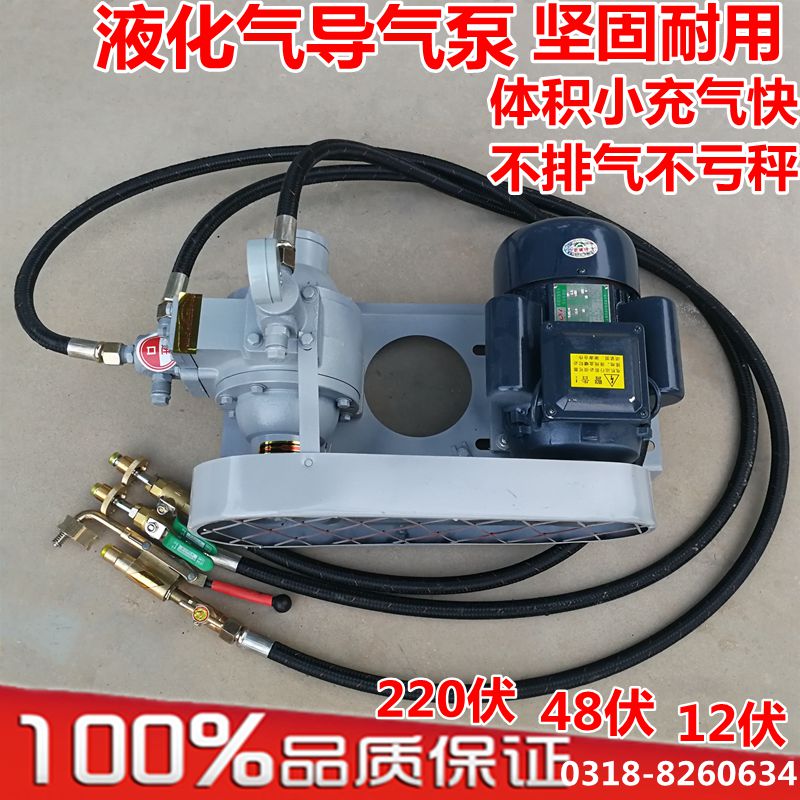 久聚和液化气泵导气泵220伏充气泵12v车载倒气过气泵煤气高压丙烷泵