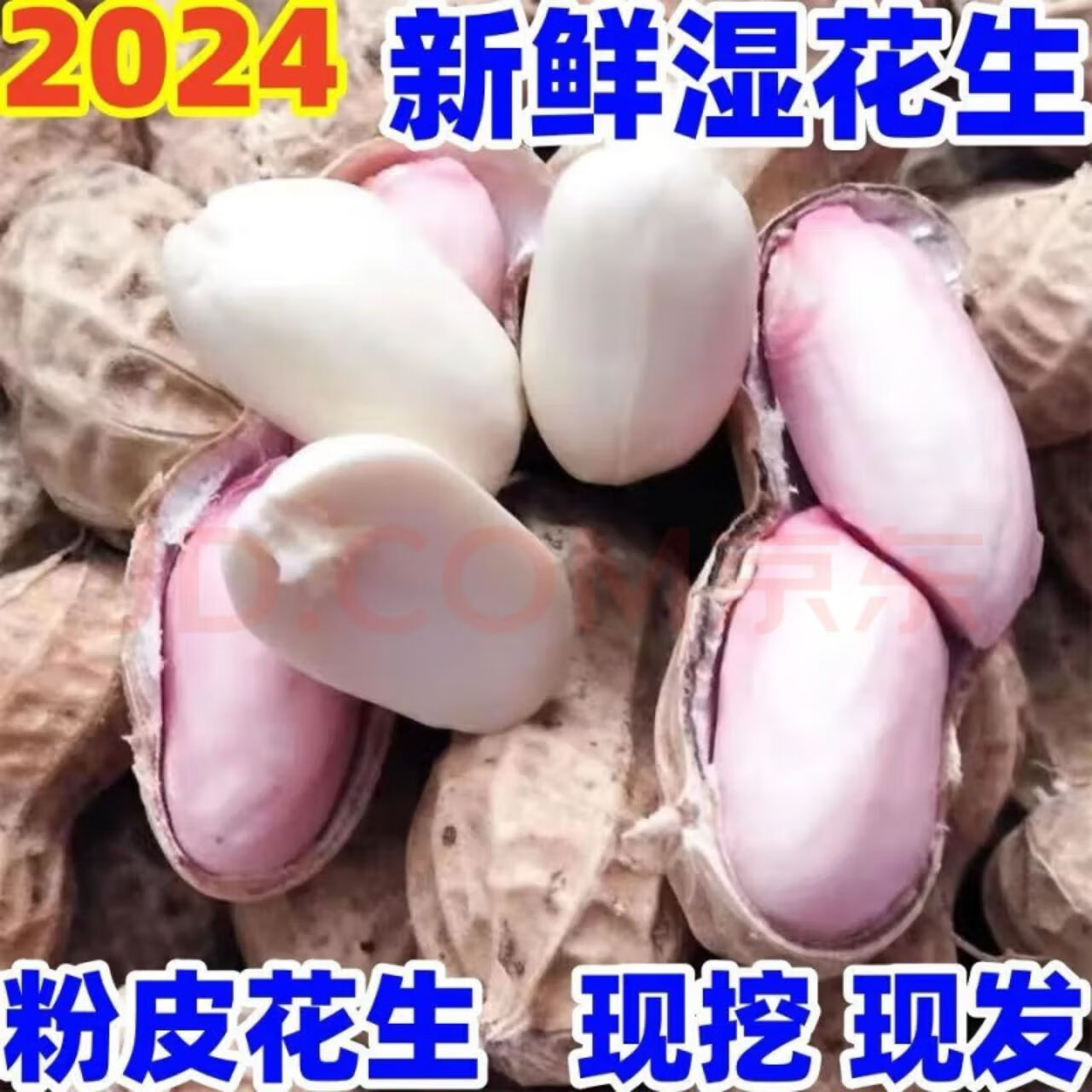 24年新鲜湿花生带壳小花生小白沙现挖粉皮水煮花生带泥鲜花生 5斤 1斤