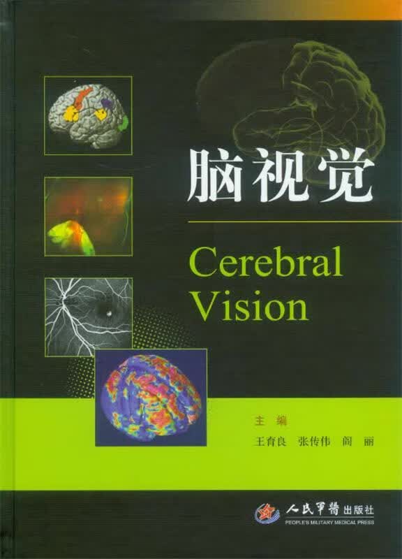 脑视觉