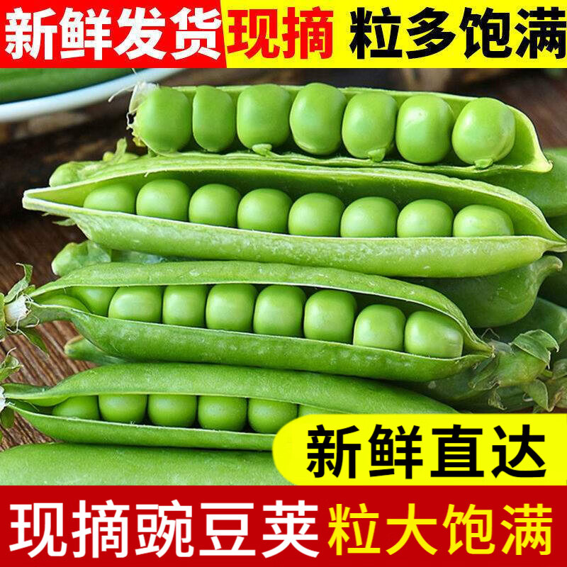辰實(shí)【現(xiàn)貨】豌豆莢新鮮 云南現(xiàn)摘帶殼青豌豆 農(nóng)家當(dāng)季蔬菜露天甜豆角 9斤豌豆莢【現(xiàn)摘現(xiàn)發(fā)】