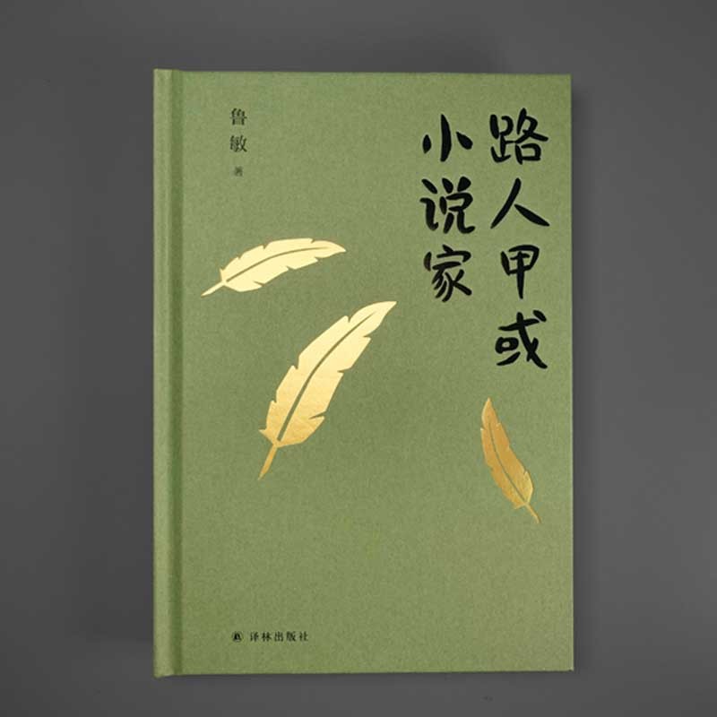 鲁敏作品(鲁迅文学奖得主,七零后代表作家鲁敏作品 鲁敏随笔集:路人