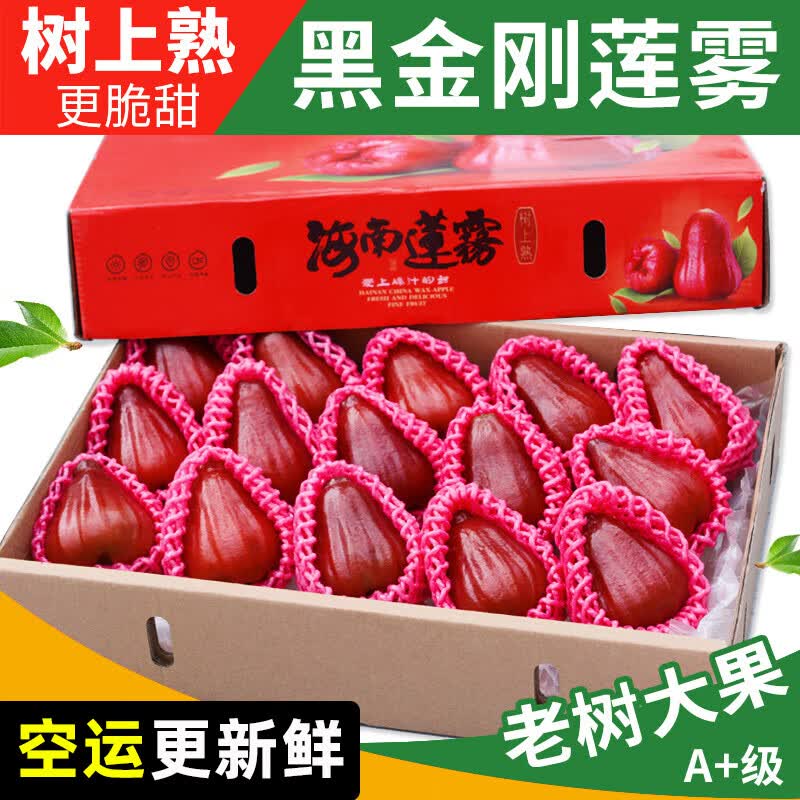 四叔公果蔬黑金刚莲雾(空运)特大果当季新鲜水果礼盒海南/福建红宝石莲雾 1斤中果尝鲜【8枚+/斤】 空运发货怎么看?