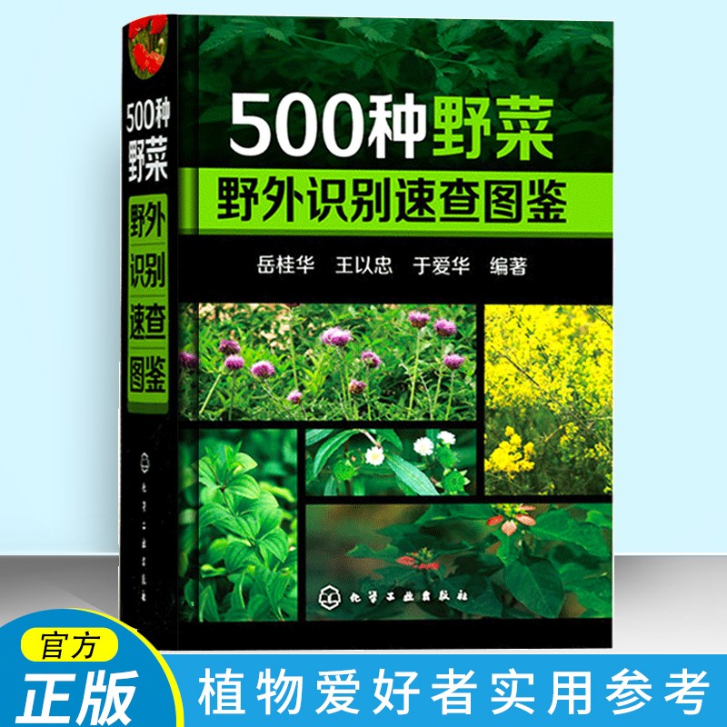 500种野菜野外识别速查图鉴 中国野菜野果植物菌类图鉴图谱一本通书籍