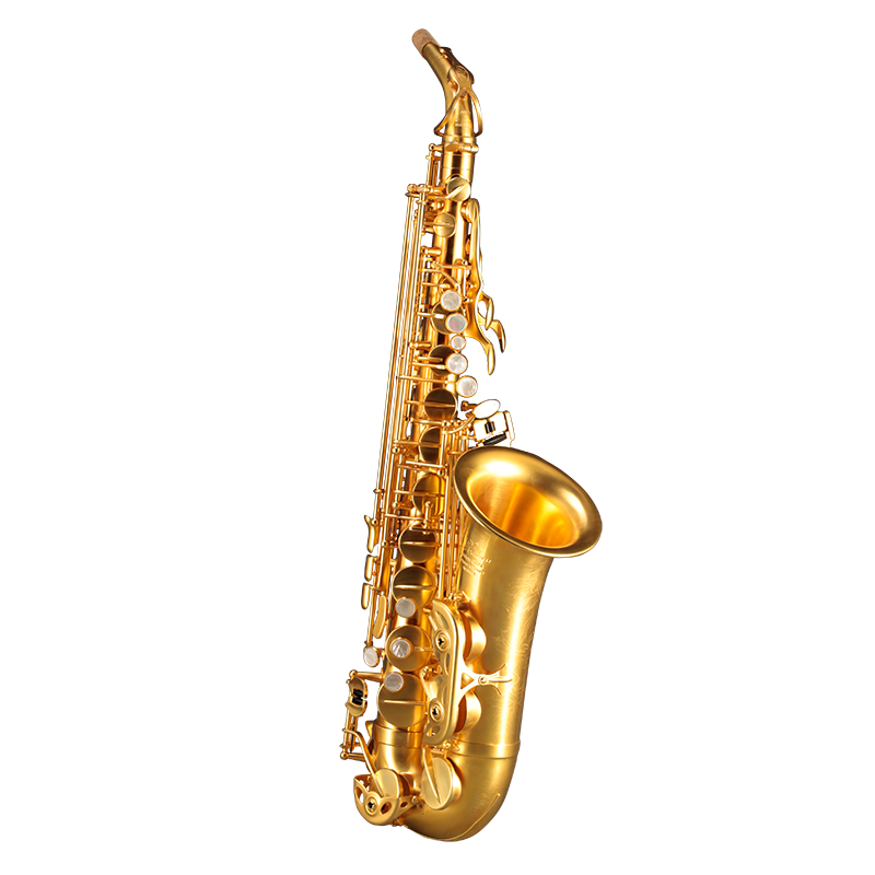 ROLLINS羅林斯原裝進(jìn)口薩克斯降e調(diào)x10-II中音薩克斯管樂器專業(yè)演奏款 原裝進(jìn)口X10-ll中音磨砂