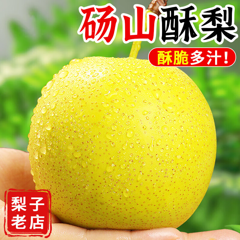正宗碭山梨新鮮梨子10斤當(dāng)季現(xiàn)摘安徽特產(chǎn)湯山酥梨老樹(shù)黃雪梨 正宗湯山酥梨 I 產(chǎn)地直發(fā) 9斤大果【單果250g以上】