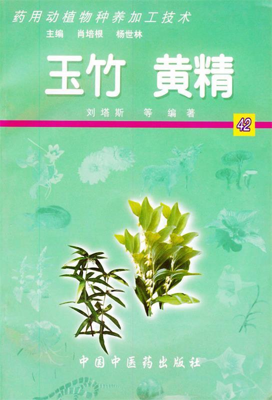 玉竹 黄精 刘塔斯,肖冰梅,余惠旻【正版图书】