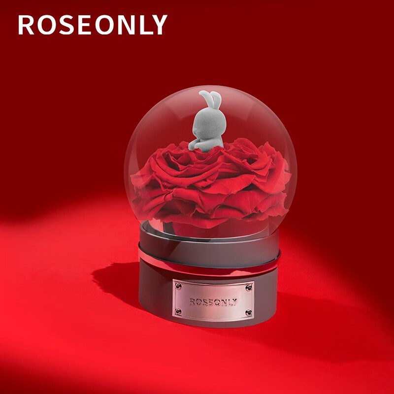 roseonly永生花玫瑰花甜心兔熊猫抱抱龙音乐球送女友生日纪念日情人节