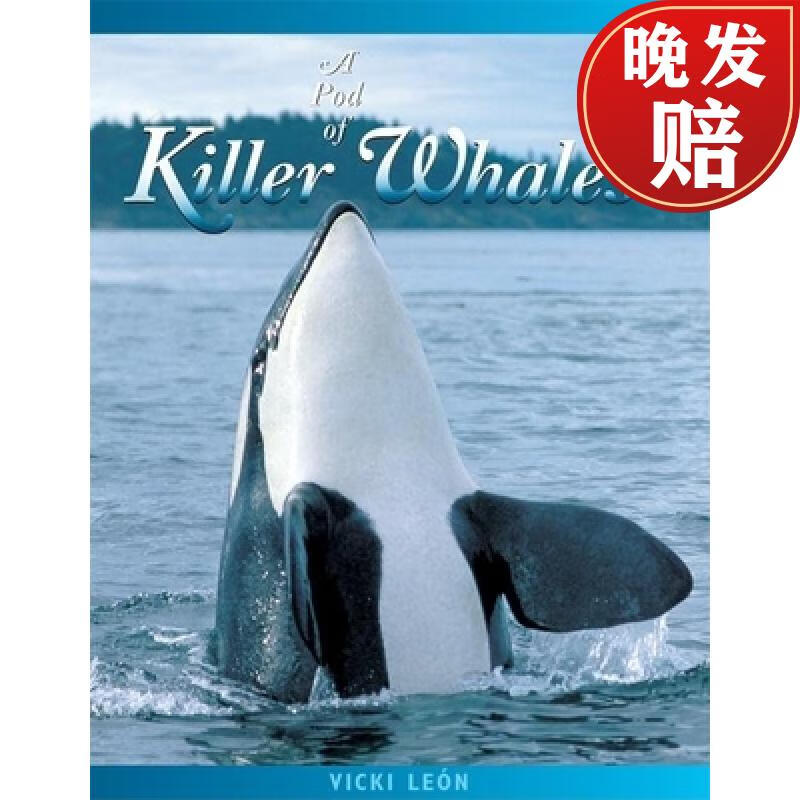 of killer whales: the mysterious life of the intelligent orca