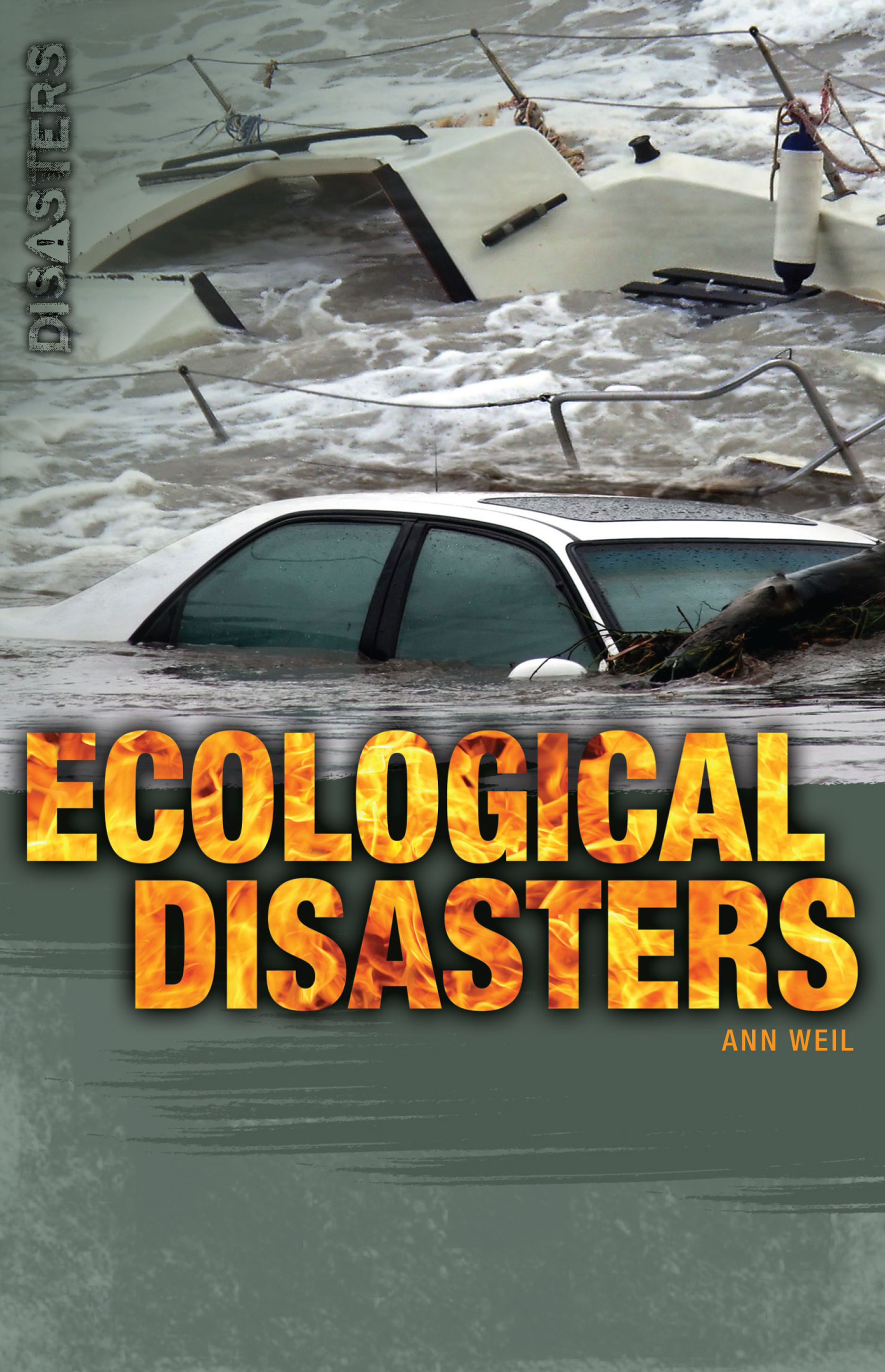 ecological disasters
