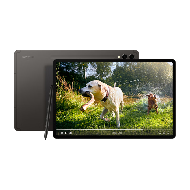  Samsung S9+ 12.4Ӣƽ/AIѧϰ칫/8Gen2/120Hz/S Pen 12G+256GB ӰWIFI