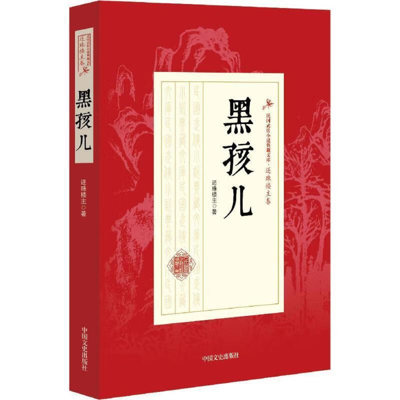 黑孩儿 还珠楼主 著【正版】