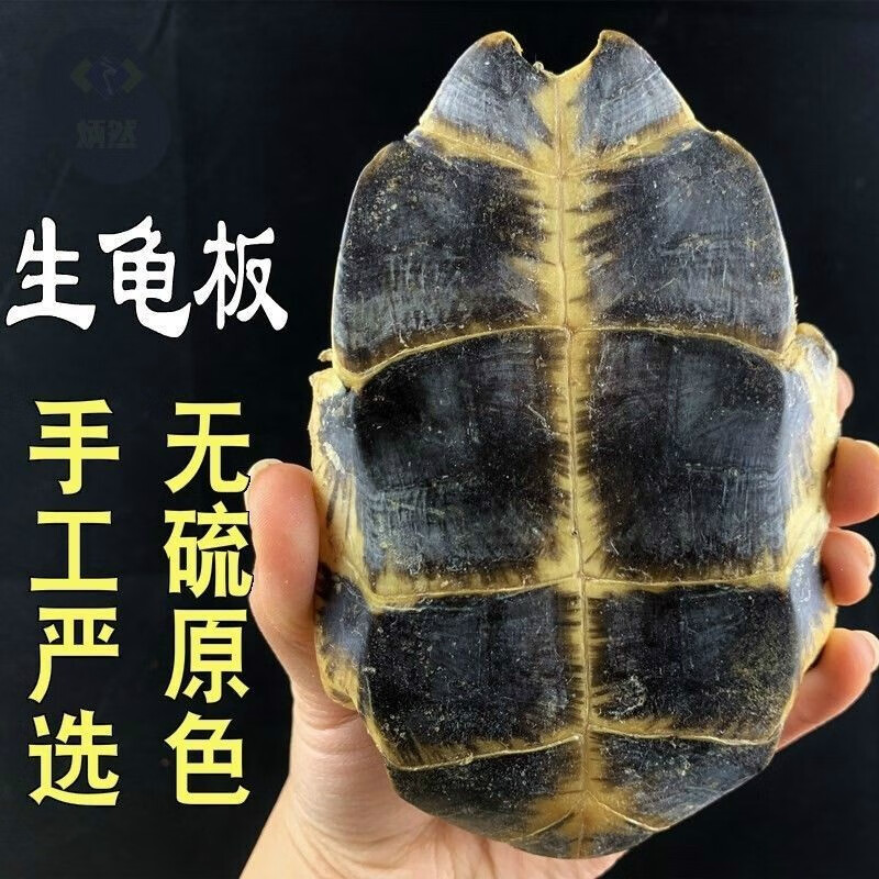 北京同仁堂 龟板中药草材生龟板乌龟板龟甲大龟壳乌龟壳下甲新货 250克