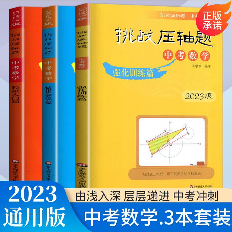 自选】2023挑战压轴题中考数学物理化学强化训练轻松入门精讲解读篇 初中难题大题复习提优冲刺训练习册讲解资料书 【数学】入门+精讲+强化篇3本套装