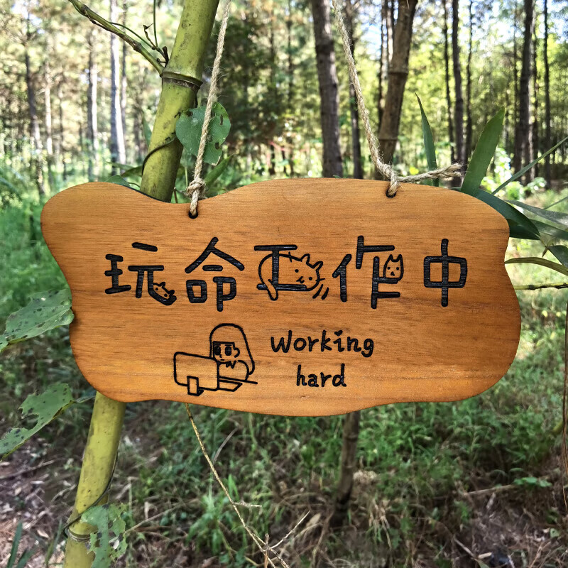 展林花园庭院挂牌木牌定制创意民宿小院提示牌家训牌子树牌实木板刻字