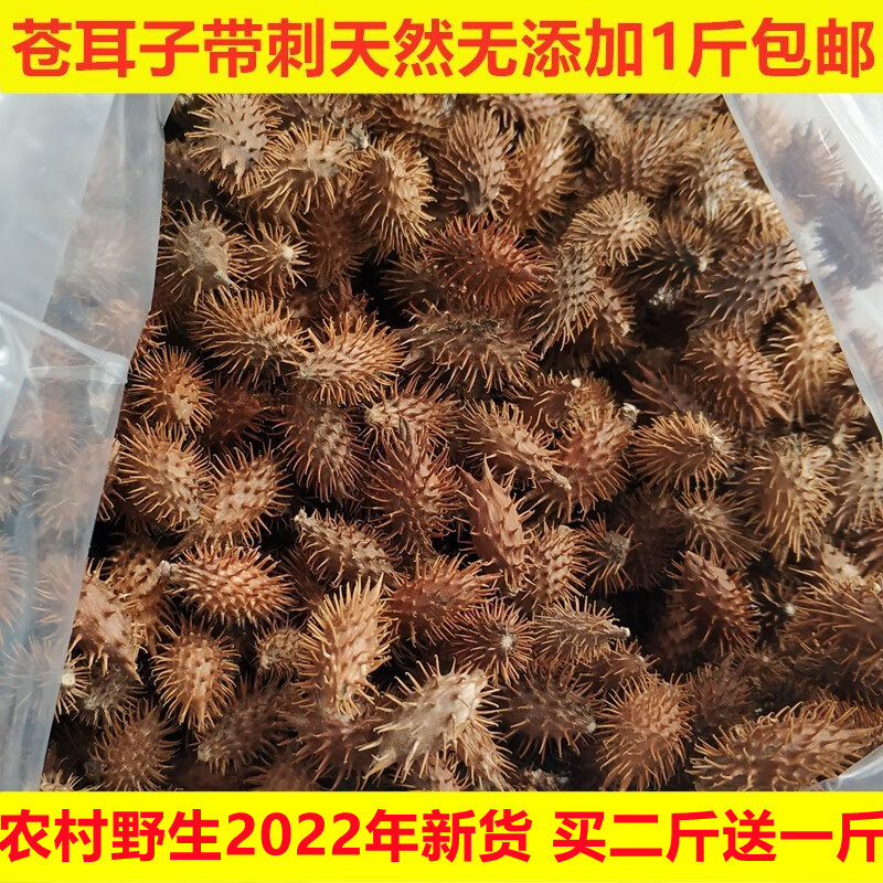 苍耳子500g野生新货天然无添加带刺毛苍子熬水泡脚苍耳中药材 苍耳中