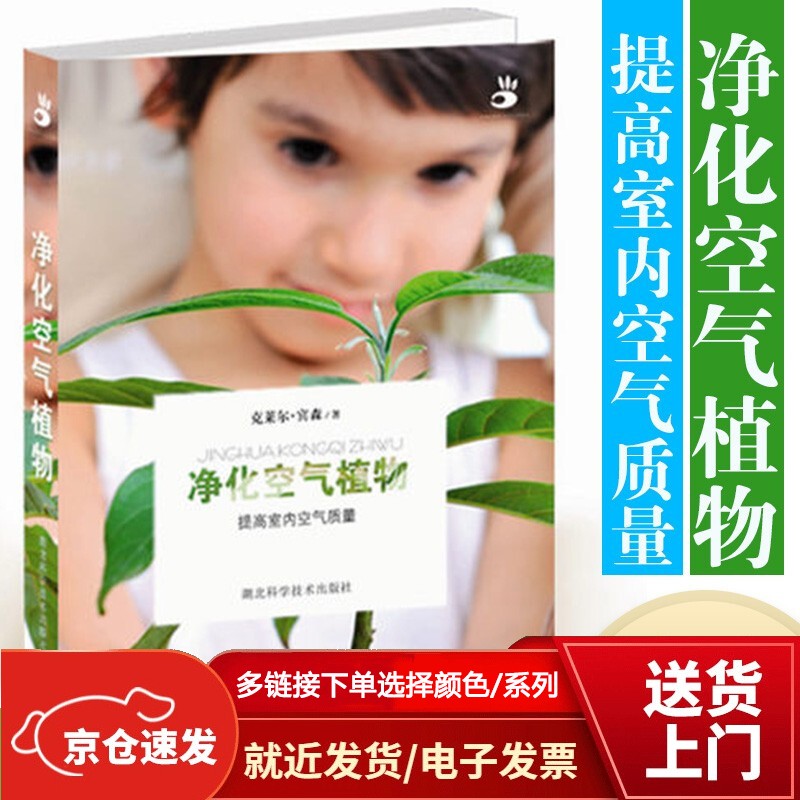 净化空气植物【以所选系列为准】【已您下单选择的系列、颜色发货】