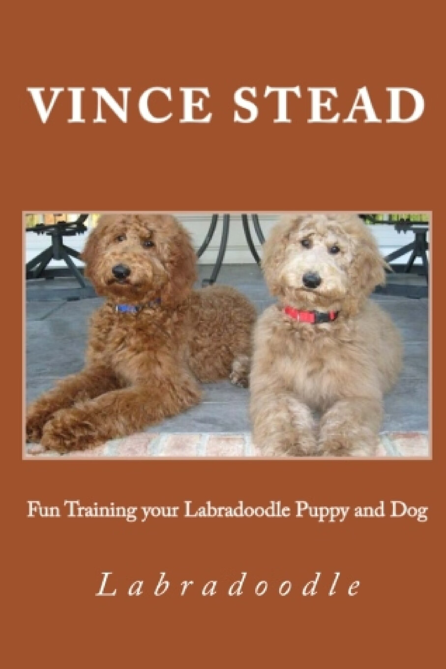 预售 按需印刷fun training your labradoodle puppy and dog