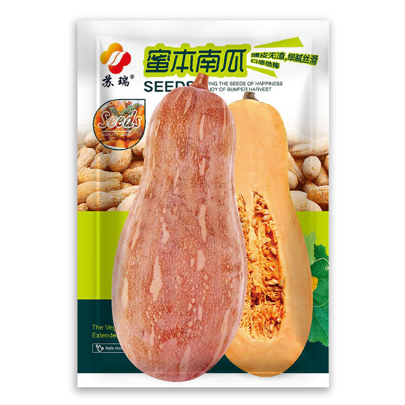 苏瑞 迷你小绿贝贝板栗味南瓜种子高产贵族南瓜种子 蜜本南瓜蔬菜四季