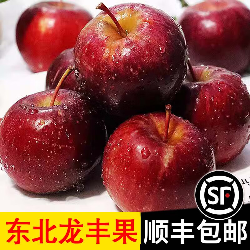 ��ʵ����˳�᡿�������ĺ��Ĺ� ɳ������� �����ز�Сƻ������ 3����������Ƽ���