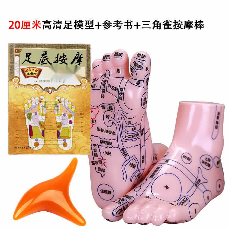 汁寒磐穴位模型人体穴位脚模型足底按摩器足部反射区双足经络模具图足疗 20cm足模+足底书+按摩雀