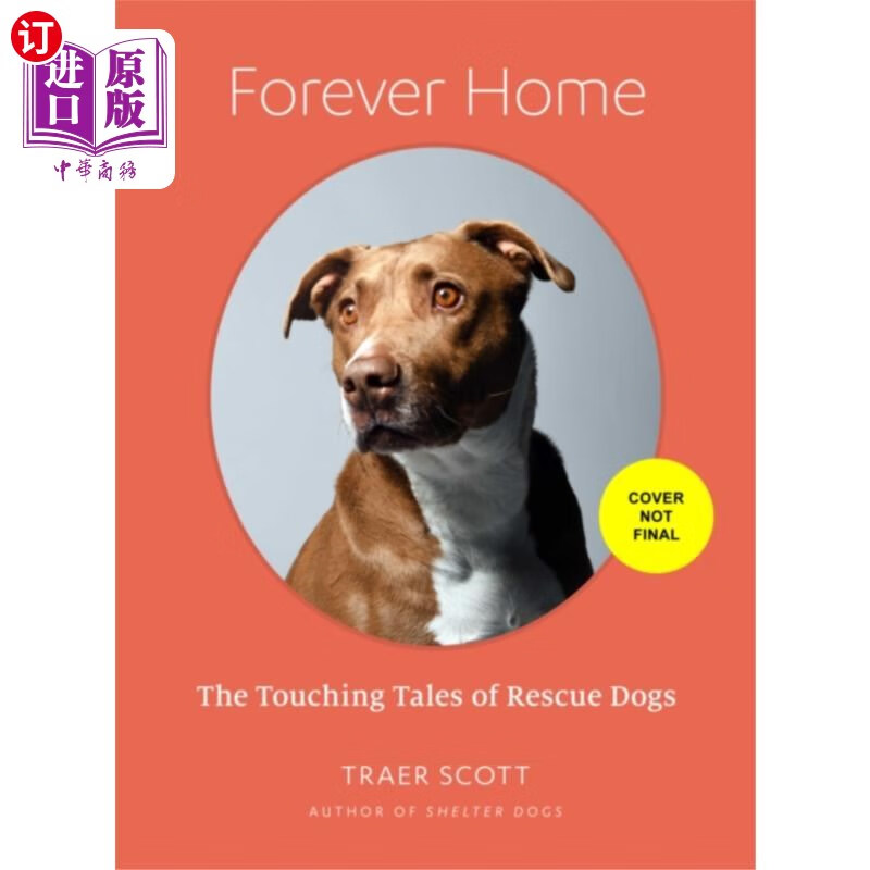 海外直订forever home 永远的家