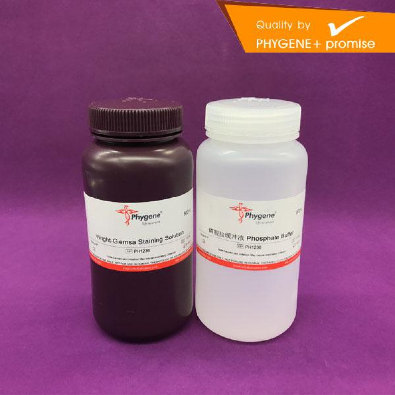 ph1236 瑞氏-姬姆萨复合染色液 瑞氏 吉姆萨染液 2×100ml