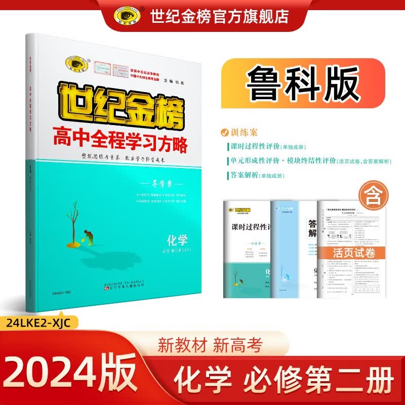 世纪金榜 高中化学必修第二册 2024版高中全程学习方略 高一下册化学必修二教材同步训练辅导书人教鲁科苏教版 鲁科版
