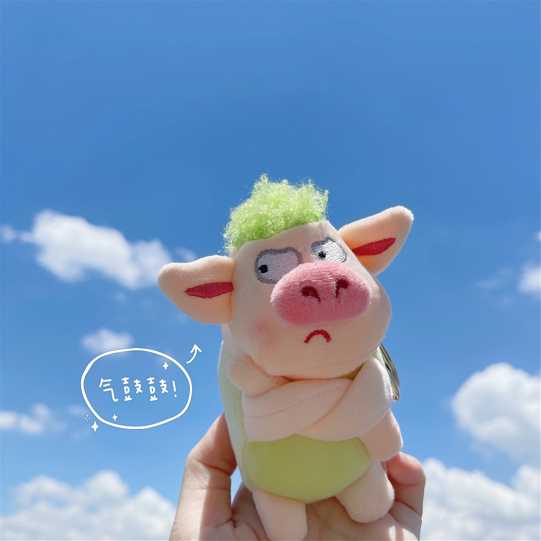 玩具公仔包包挂件男女生礼物搞怪钥匙扣 绿衣绿毛猪挂件新批次厘米 全