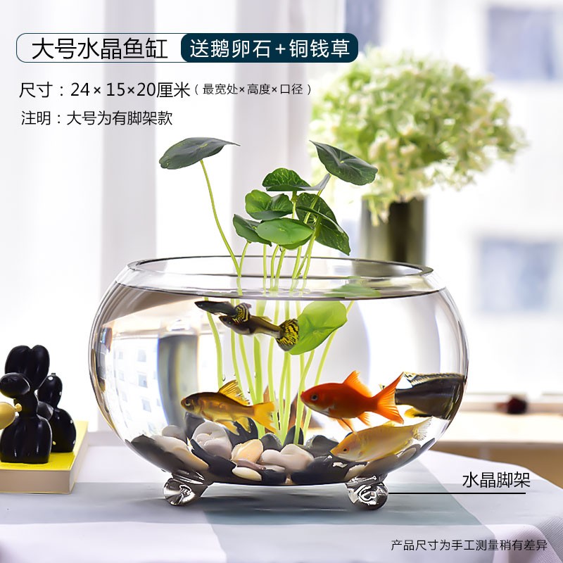 喜莱卡 小鱼缸金鱼缸方形玻璃鱼缸迷你小型桌面鱼缸水晶鱼缸家用造景水族箱生态鱼缸乌龟缸创意造景斗鱼缸 大号水晶圆缸送鹅卵石+仿真铜钱草】