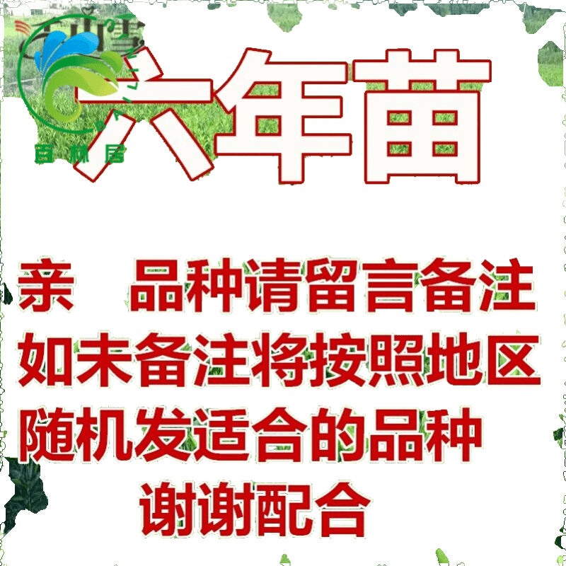不容错过的折扣！拯救你的荷包：童鞋价格下降中|近期苗木的价格走势