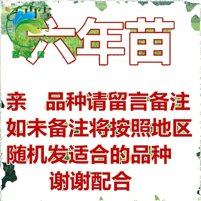 不容错过的折扣！拯救你的荷包：童鞋价格下降中