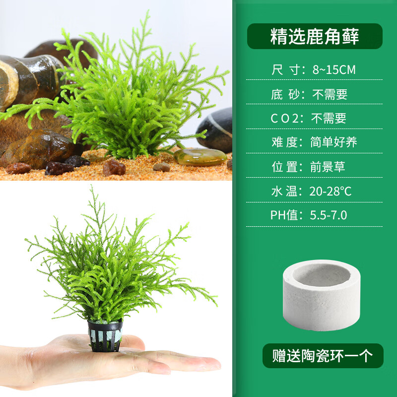 榕耐 相关京东优惠商品推荐降序排行榜 价格图片品牌优惠券 虎窝购
