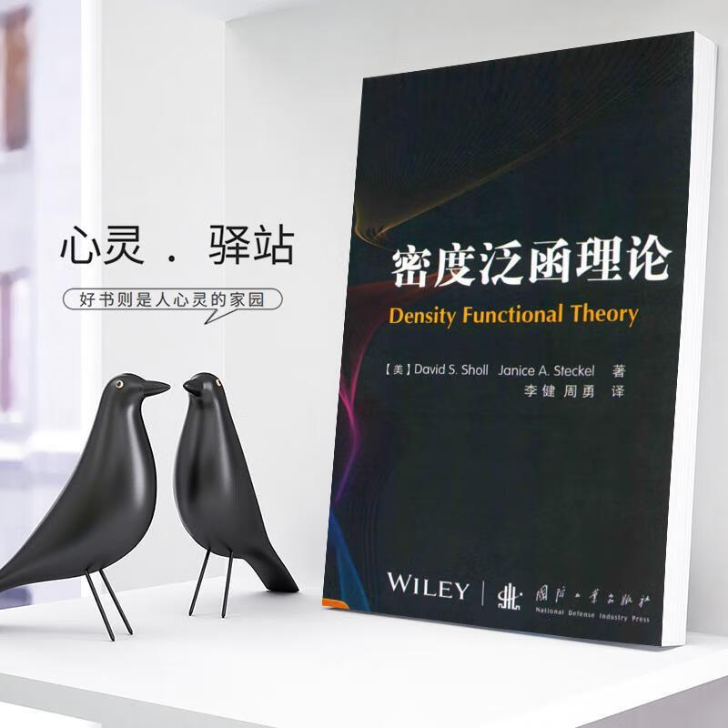 密度泛函理论 David S. Sholl，Janice A. Steckel著 李健 周勇译