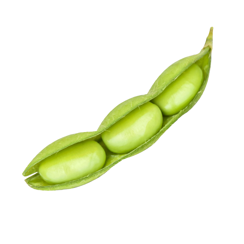 �ٺ� ��ë�����Ӵ����ش��������ļ��ඹ�߲����Ѵ�ȫ�Ĳ��ƶ� ���ʶ�7��ë������ 250g/��Ʒ��